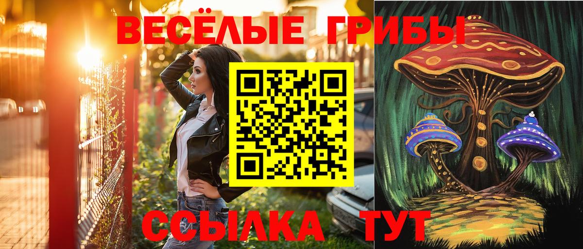Коломна  Галлюциногенные грибы Psilocybe  Вход с VPN 